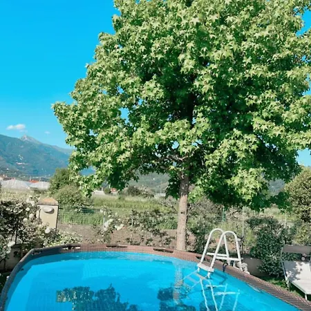 Souari 10' Da De Marmi - 2km Villa Lido di Camaiore