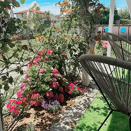 Souari 10' Da De Marmi - 2km Villa